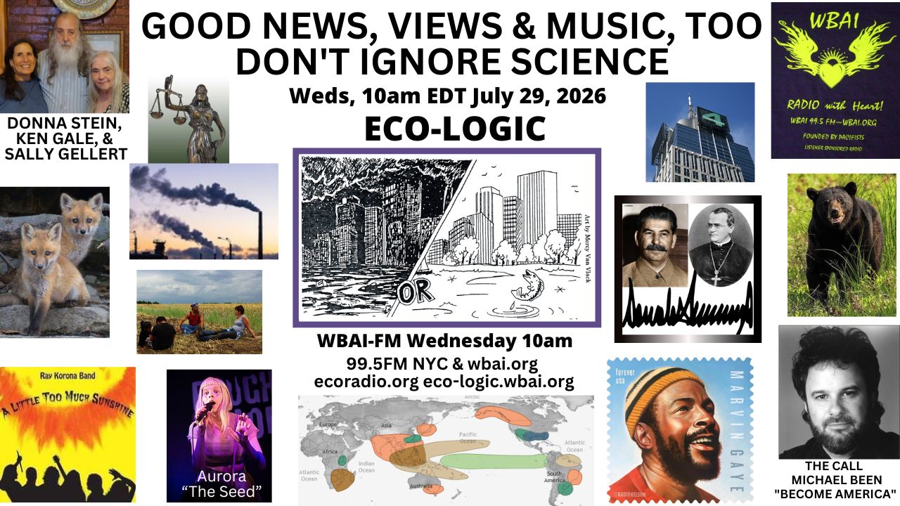 meme by Donna Stein with Sally Gellert, logo art by Mercy Van Vlack