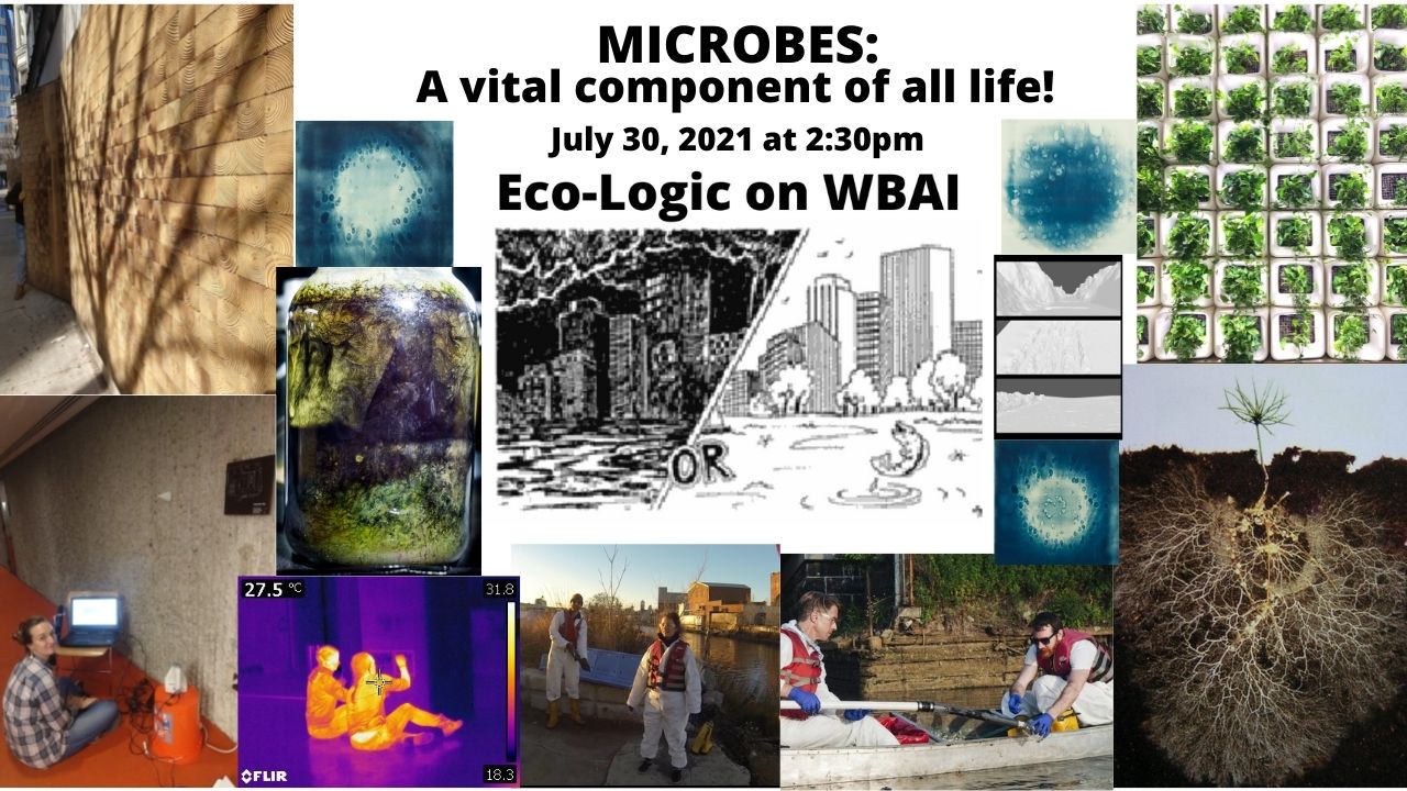 Eco-Logic 7-30-21 Microbes meme by Donna Stein, art by Mercy Van Vlack