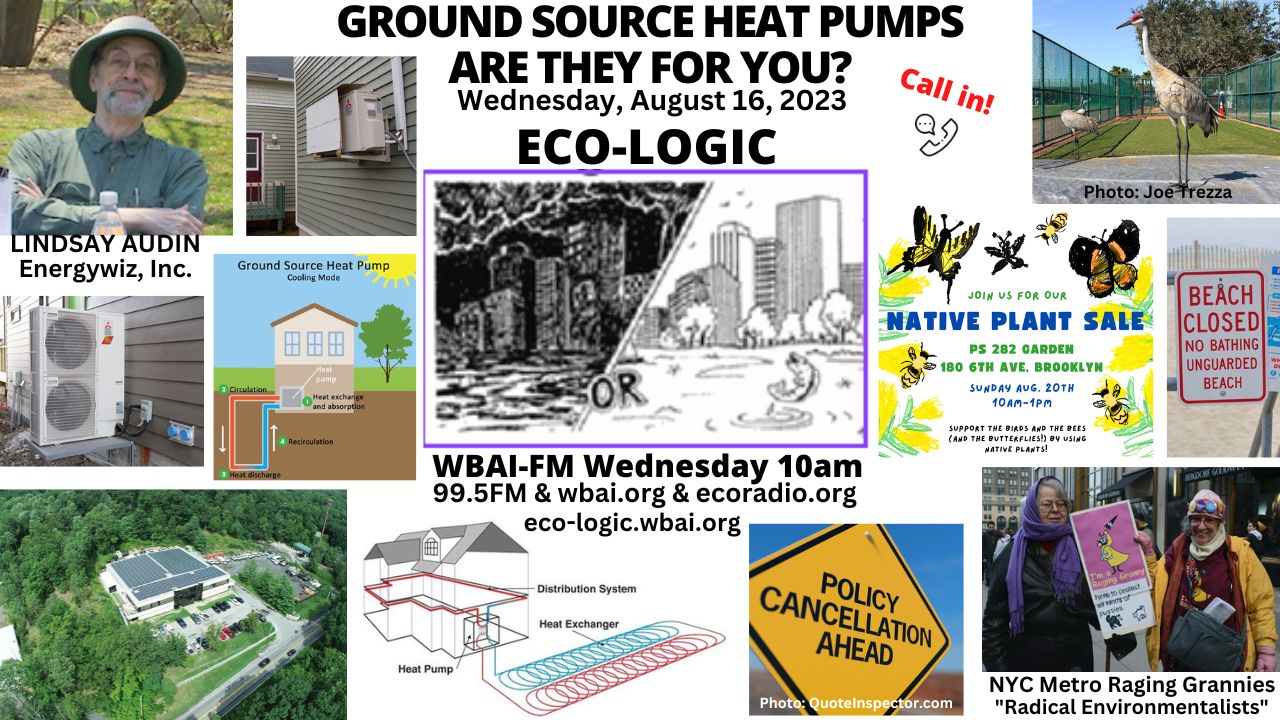 meme Eco-Logic 8-16-23 Ground Source Heat Pumps Lindsay Audin