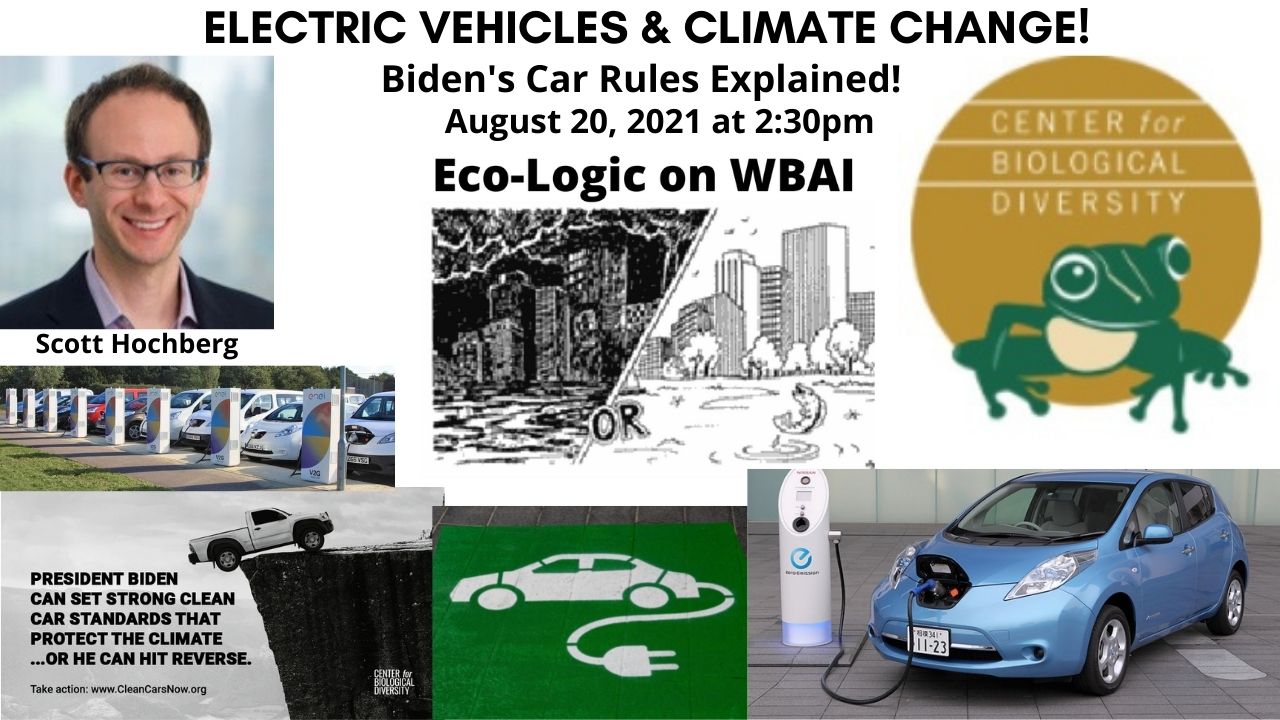 meme Eco-Logic 8-20-21 Electric Vehicles