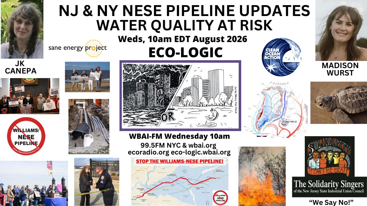 meme Eco-Logic 8-5-26 NESE Pipeline
