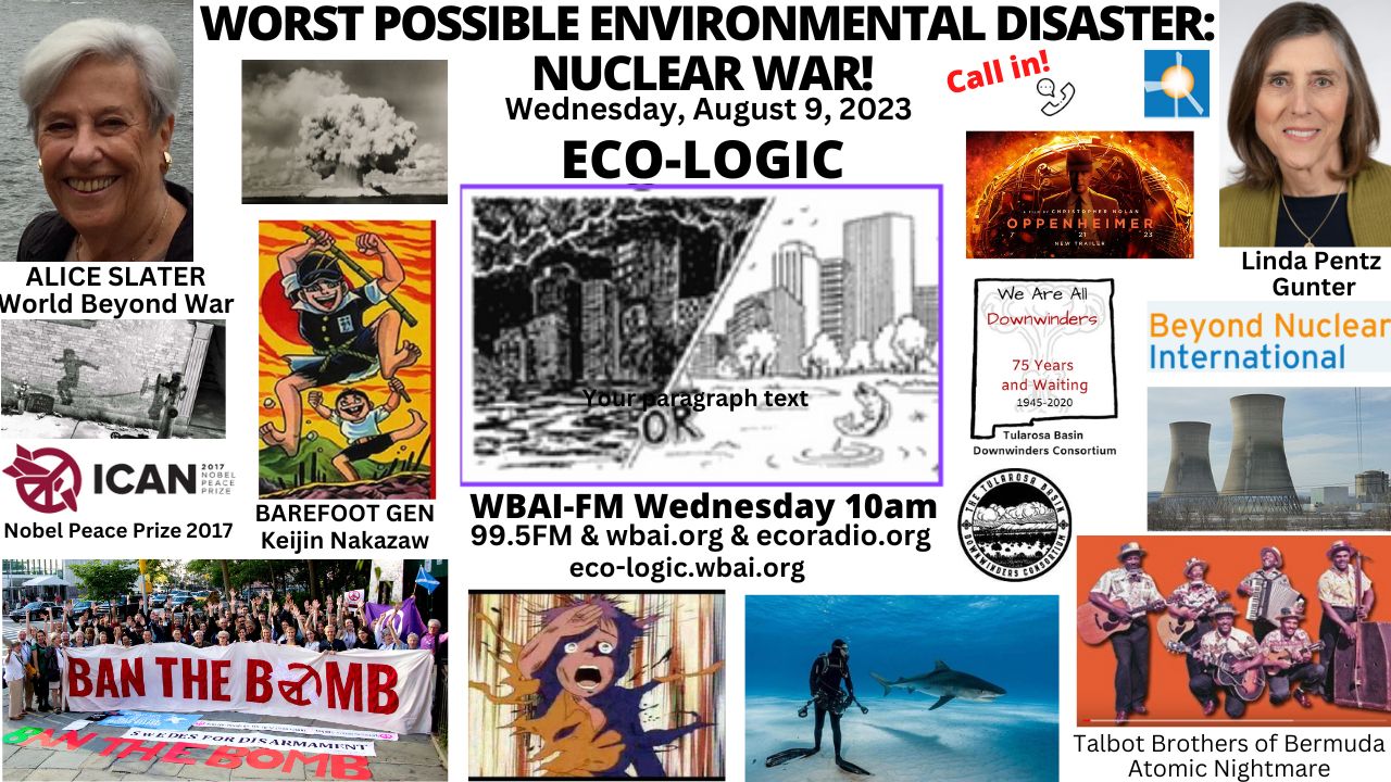 meme Eco-Logic 8-9-23 Nuclear War