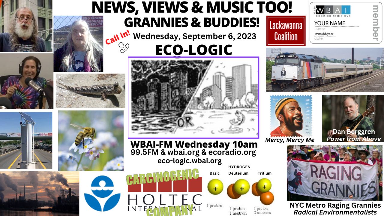 meme Eco-Logic 9-6-23 News Views Music - Grannies and Buddies
