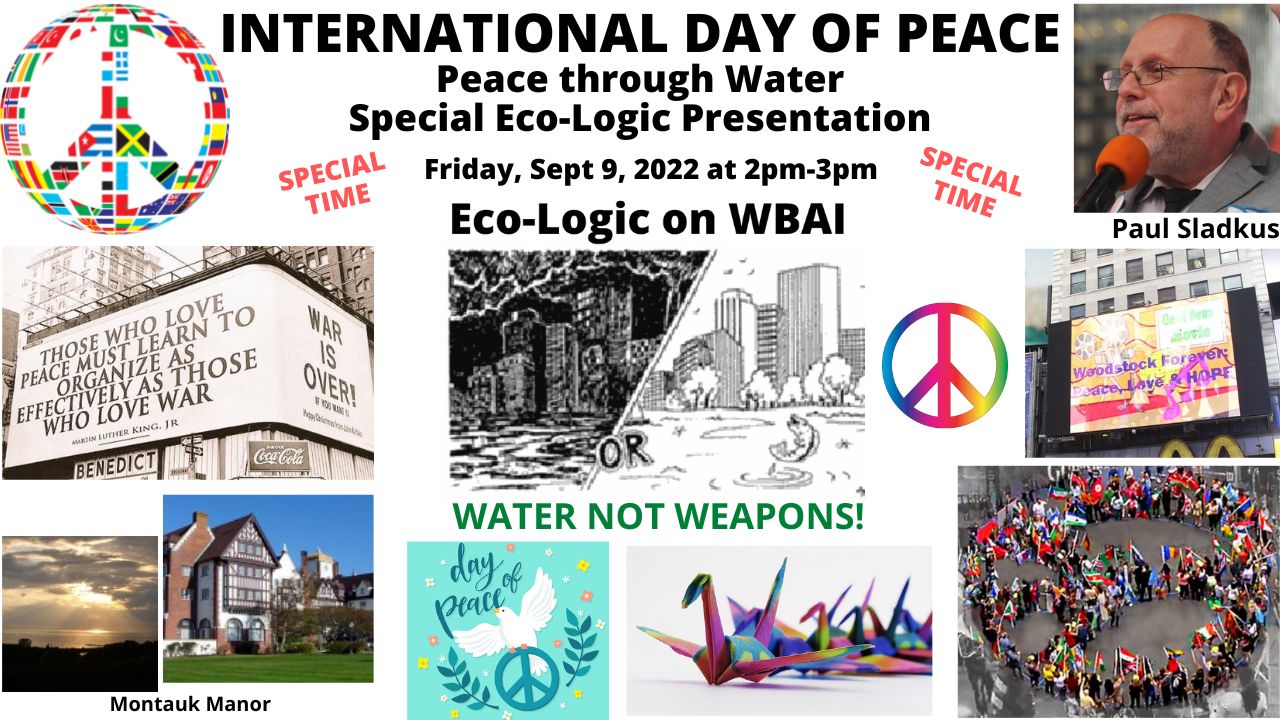 Eco-Logic meme 9-9-22 Special International Day of Peace