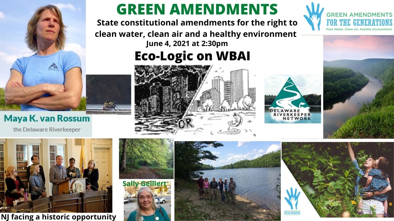 Green Amendments Eco-Logic June 4, 2021