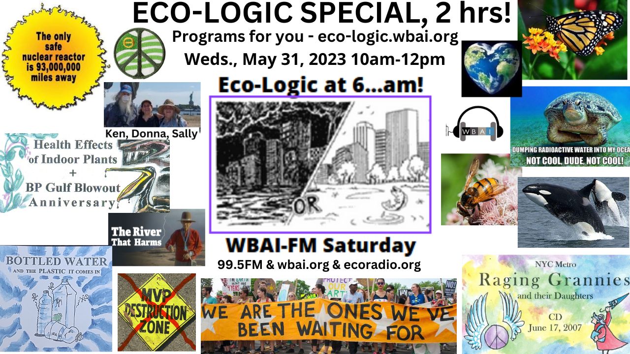 meme Eco-Logic 5-31-23 Special