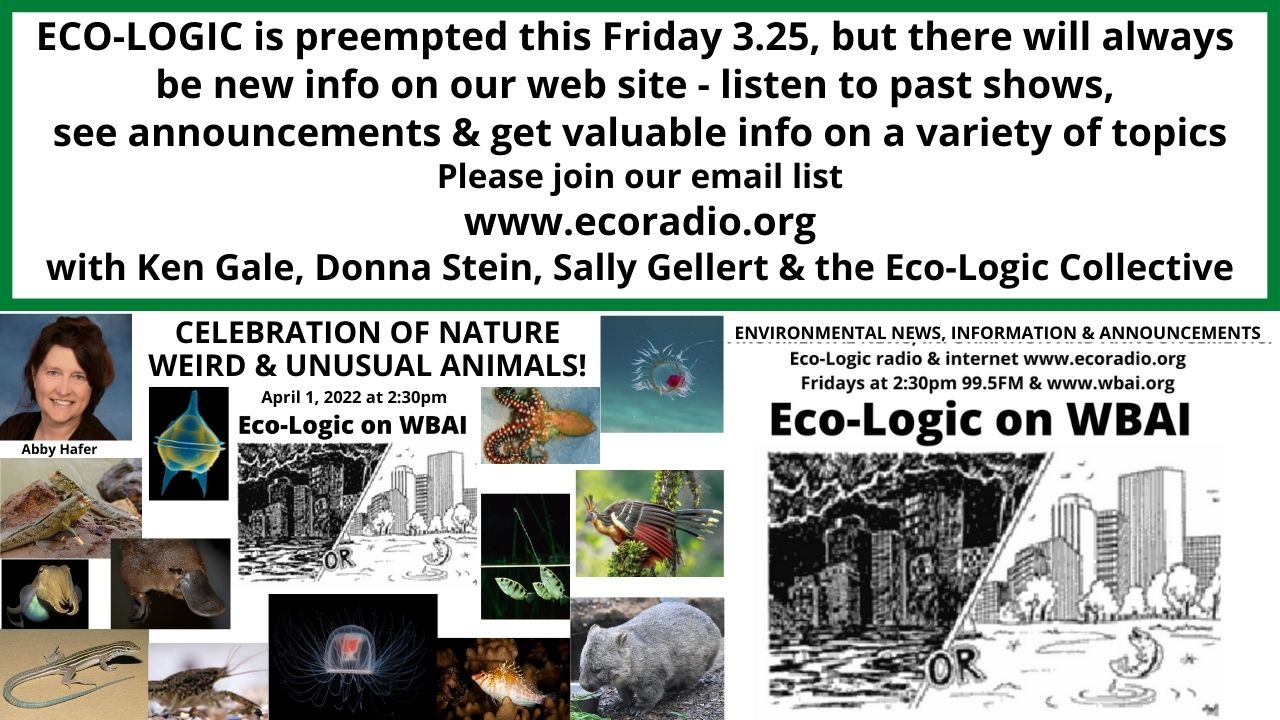 meme 3-18-22 Eco-Logic Nuclear Accidents You Never Heard Of