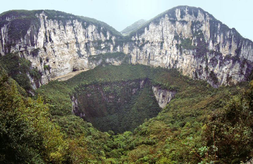 sinkhole forest