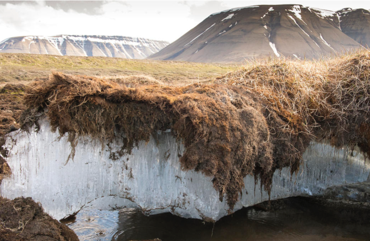 Thawing Arctic