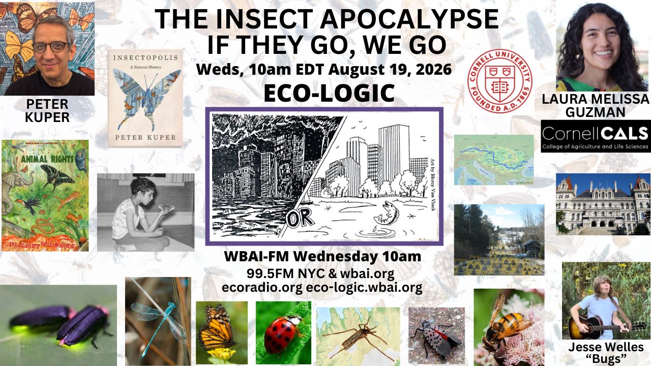 meme Eco-Logic 8-19-26 Insect Apocalypse
