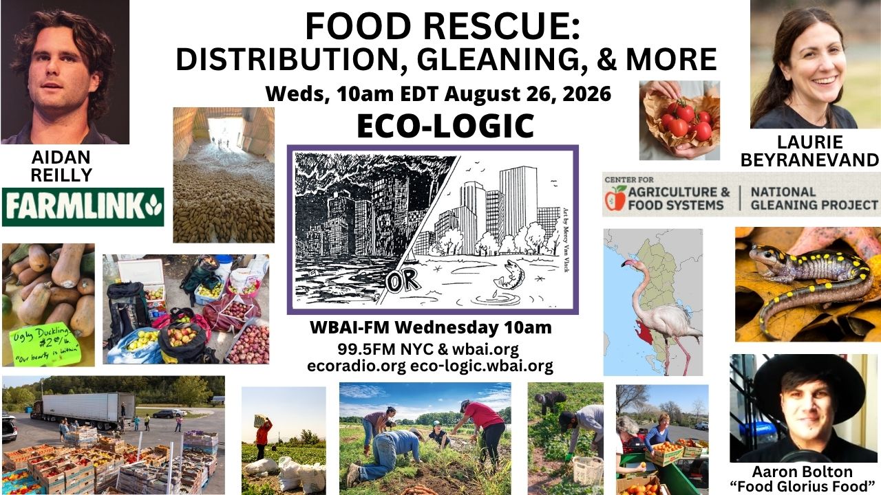 meme Eco-Logic 8-26-26 Food Rescue