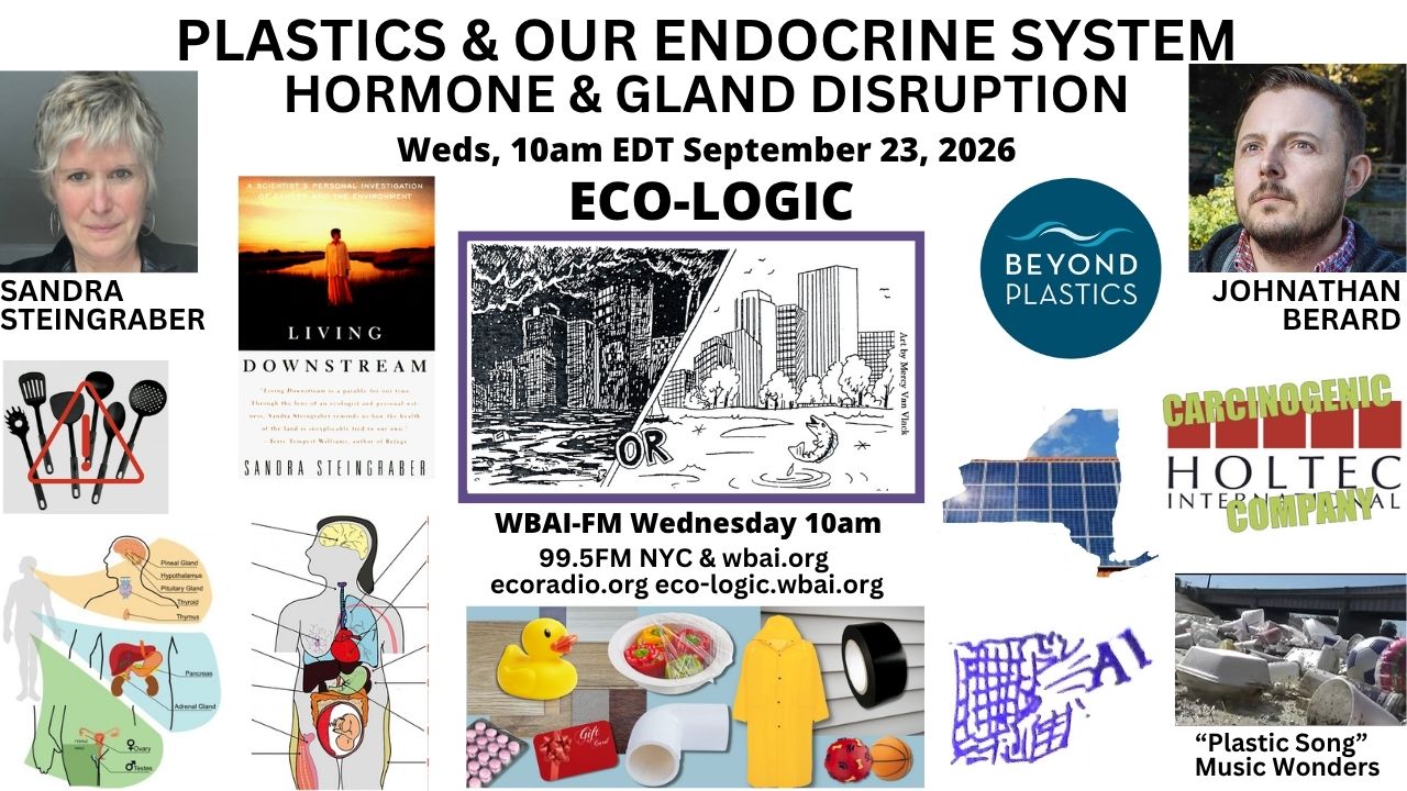 meme Eco-Logic 9-23-26 Plastics and Endocrine System